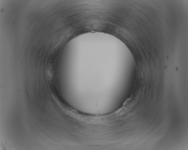 X0000076230040200610122126
