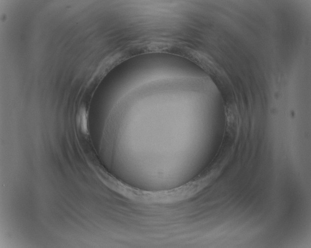 X0000076230046200610122126