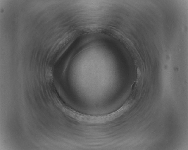 X0000076230048200610122126
