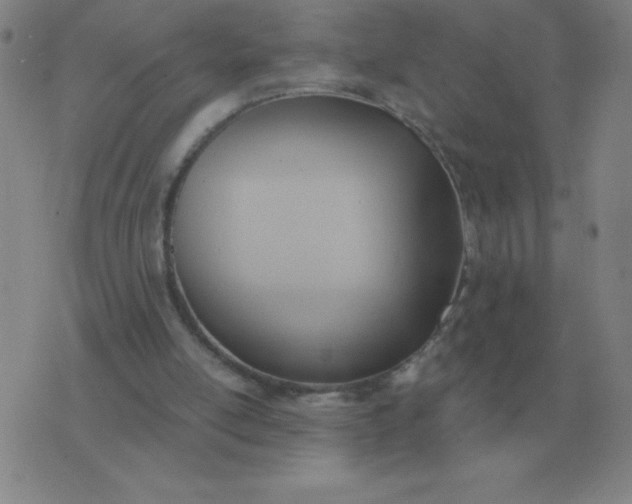 X0000076230054200610122125