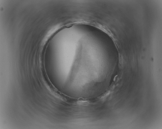 X0000076230055200610122125