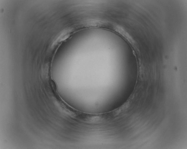 X0000076230058200610122125