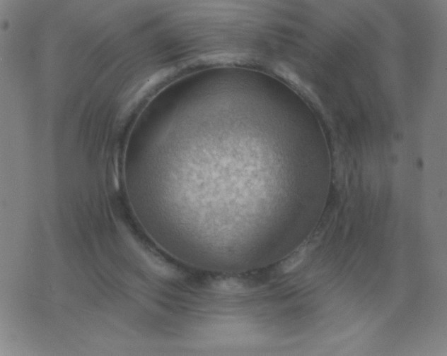 X0000076230062200610122125