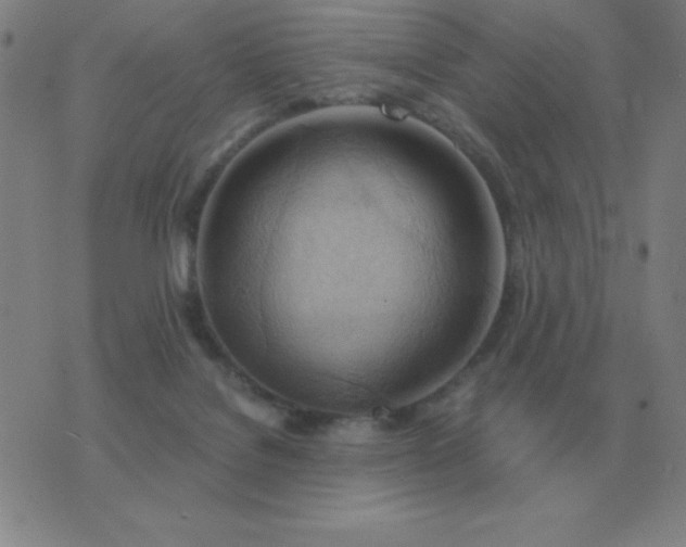X0000076230076200610122125
