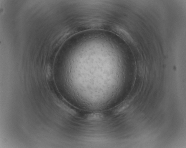 X0000076230077200610122125