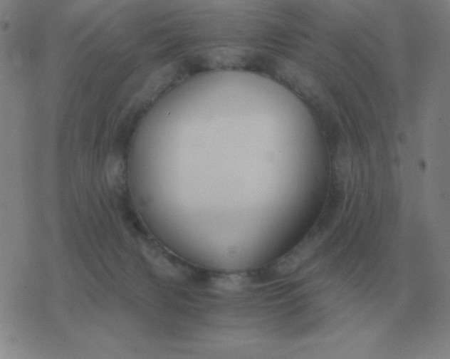 X0000076230079200610122125
