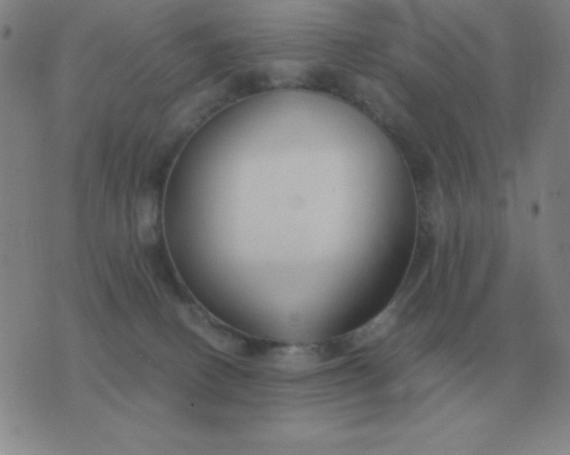 X0000076230082200610122125
