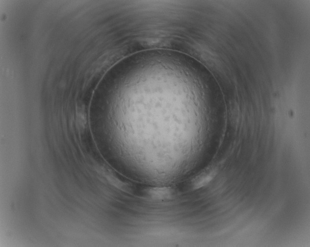 X0000076230085200610122125