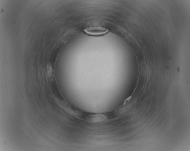 X0000076230087200610122125