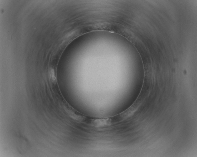 X0000076230089200610122125