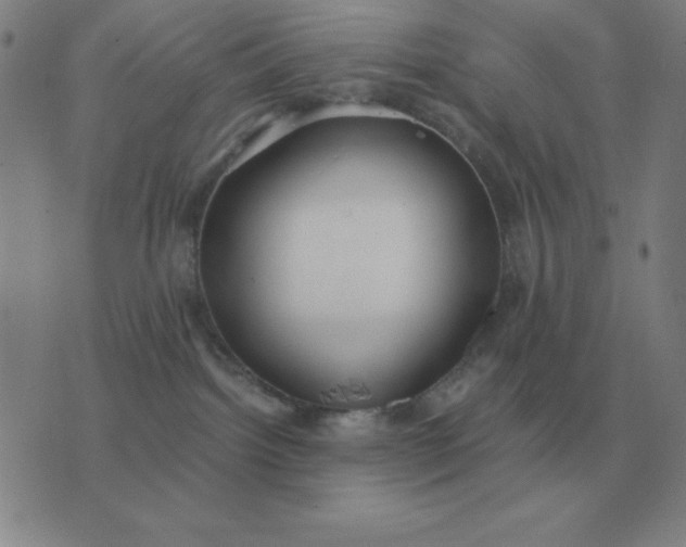 X0000076230092200610122125