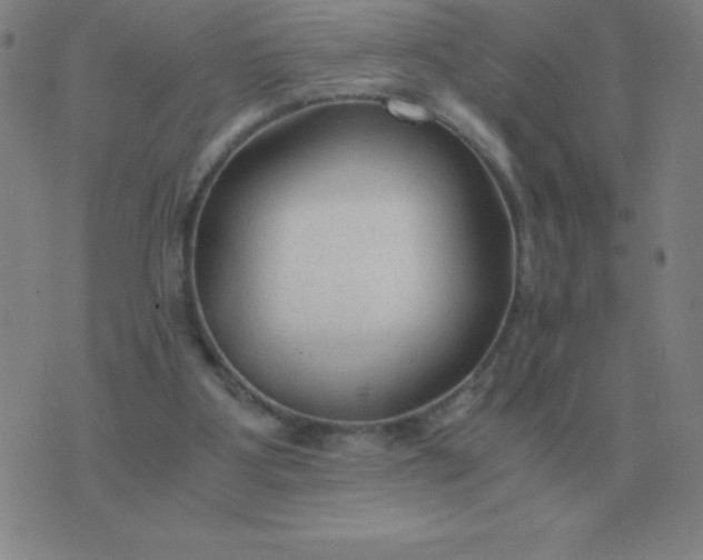 X0000076230107200610122125