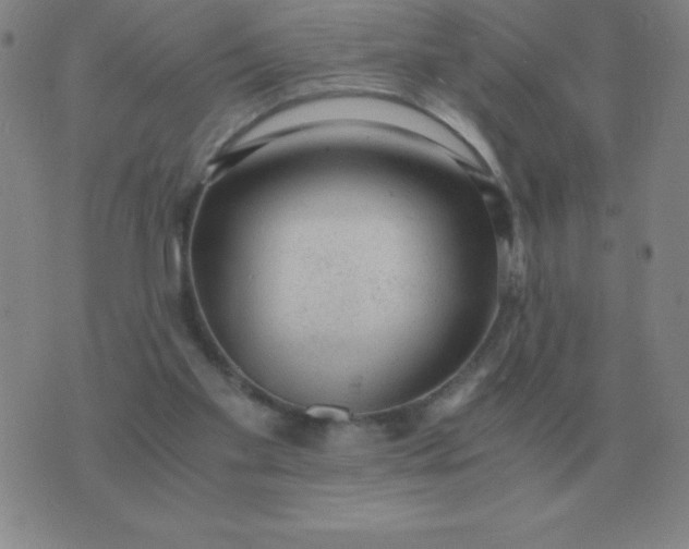 X0000076230109200610122125