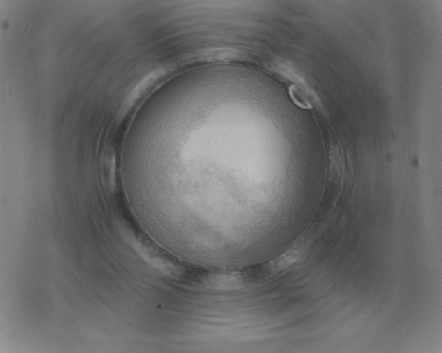 X0000076230110200610122125