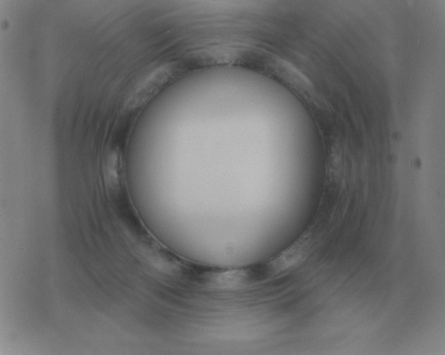 X0000076230122200610122124