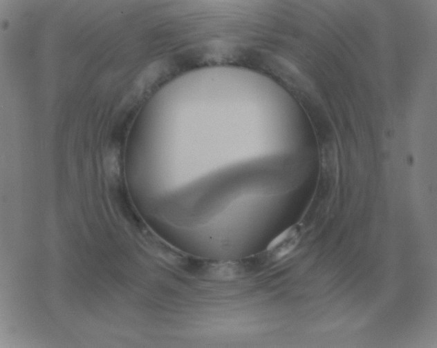 X0000076230127200610122124