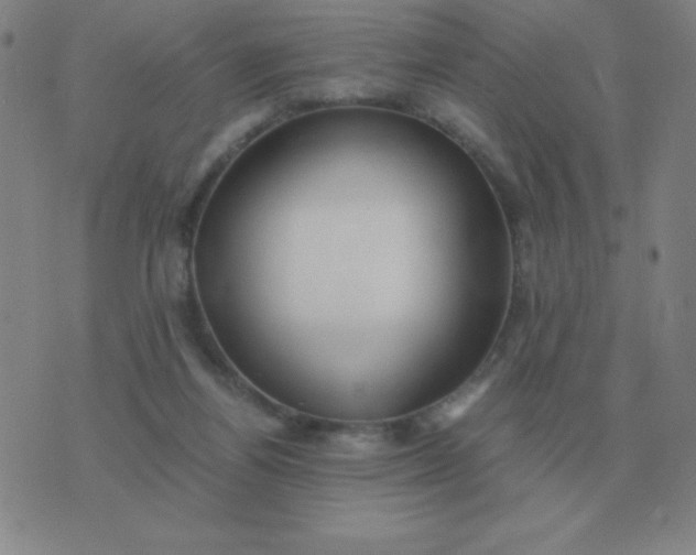X0000076230164200610122123