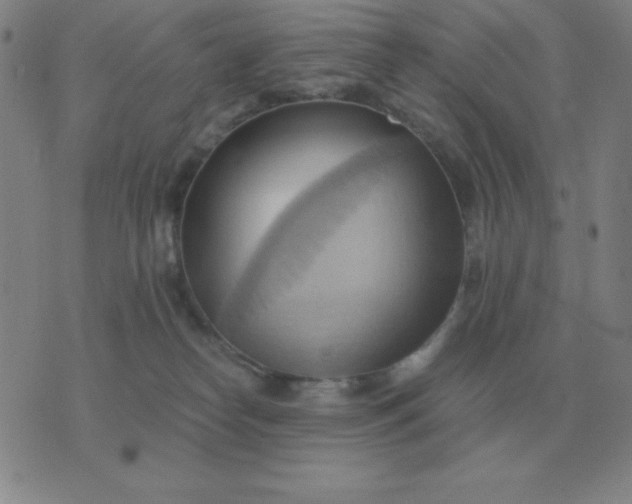 X0000076230182200610122124