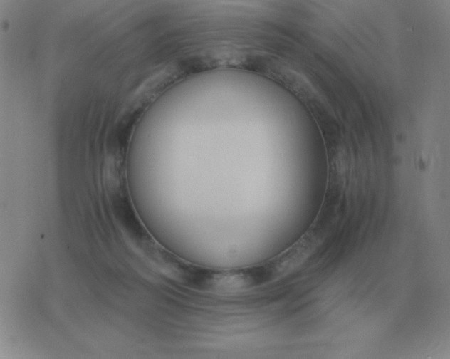 X0000076230218200610122123