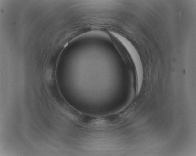 X0000076230219200610122123
