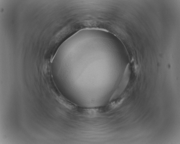 X0000076230233200610122123