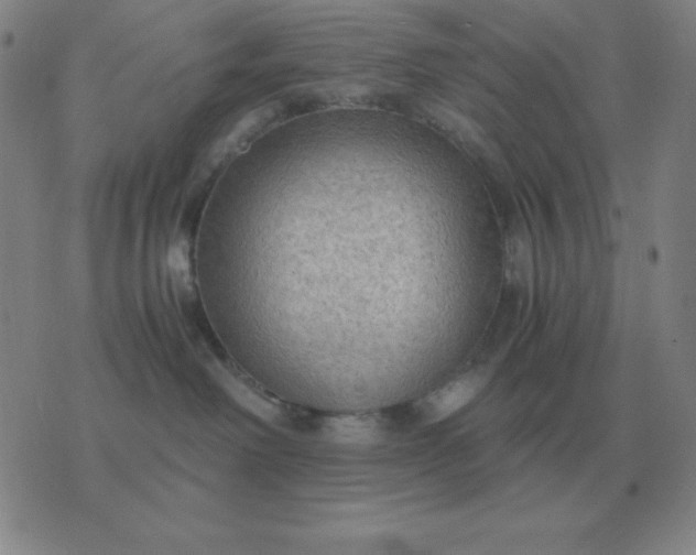 X0000076230238200610122122