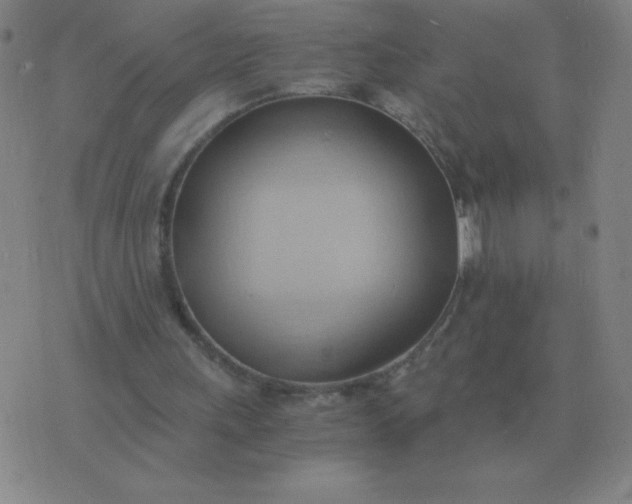 X0000076230243200610122122