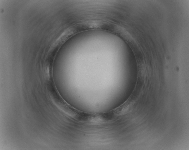 X0000076230262200610122122