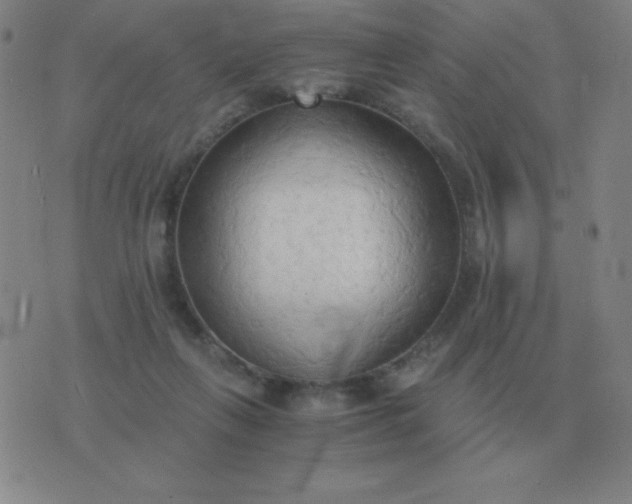 X0000076230263200610122122