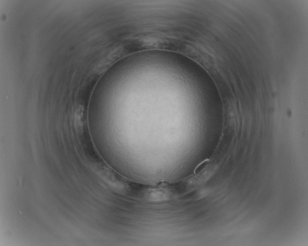 X0000076230275200610122122