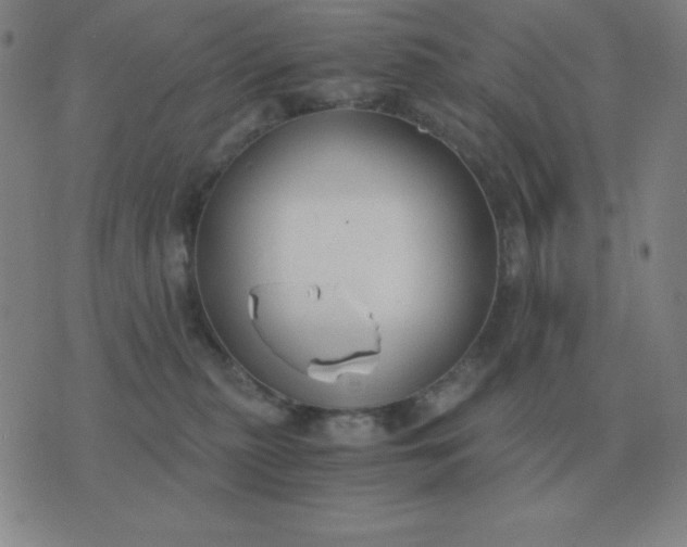 X0000076230279200610122122