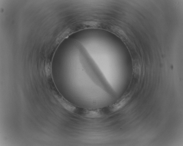 X0000076230285200610122122