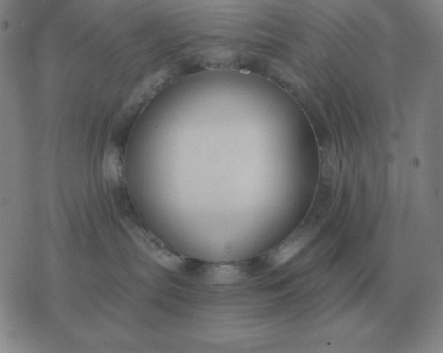 X0000076230287200610122122