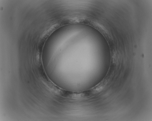 X0000076230314200610122121