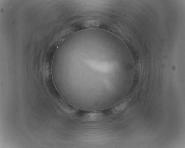 X0000076230323200610122121