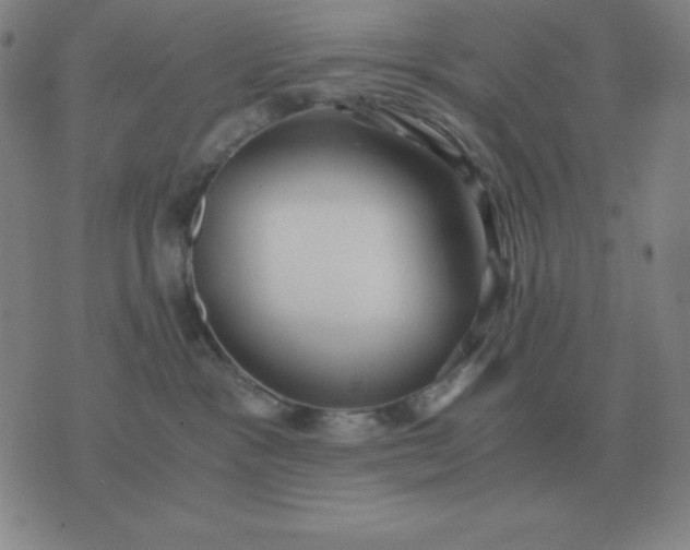 X0000076230333200610122121