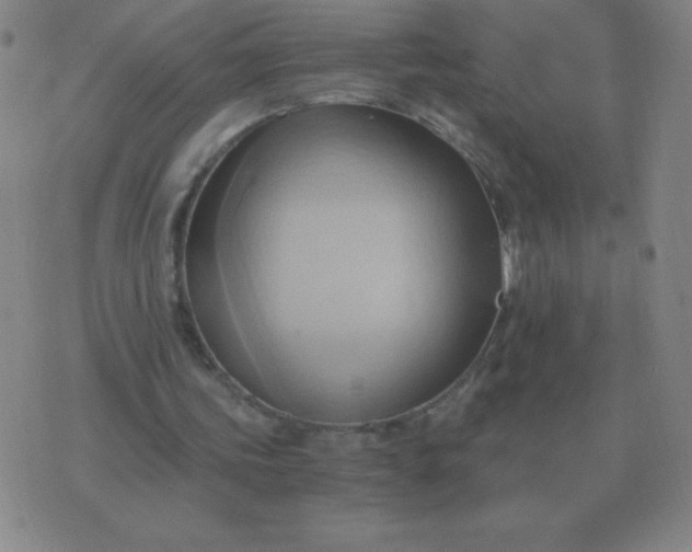 X0000076230339200610122120