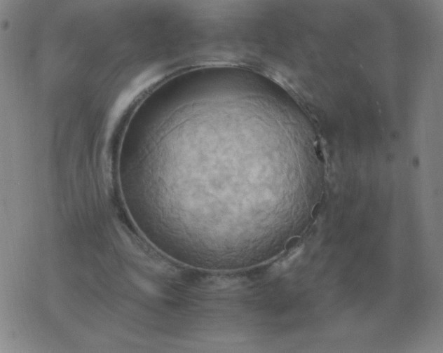 X0000076230343200610122120