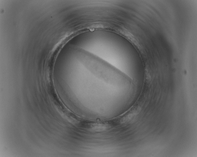 X0000076230347200610122120