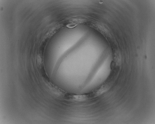 X0000076230371200610122121