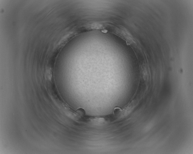 X0000076230374200610122121