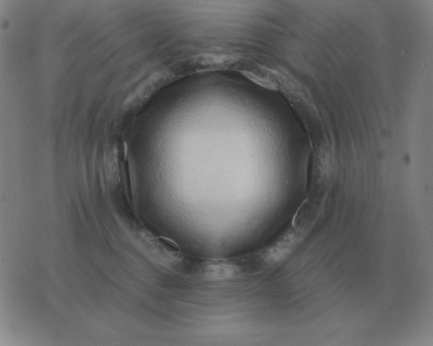X0000076230376200610122121