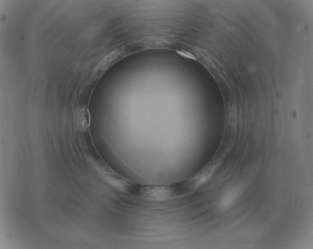 X0000076230383200610122121