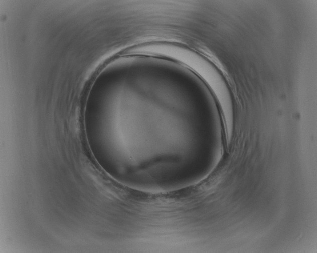 X0000076230387200610122120