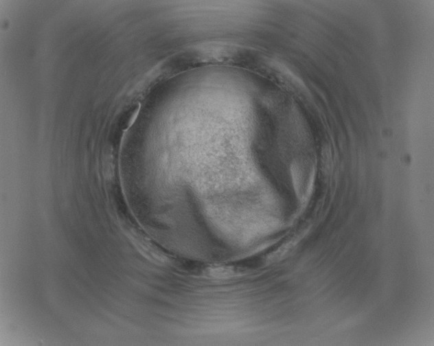 X0000076230413200610122120