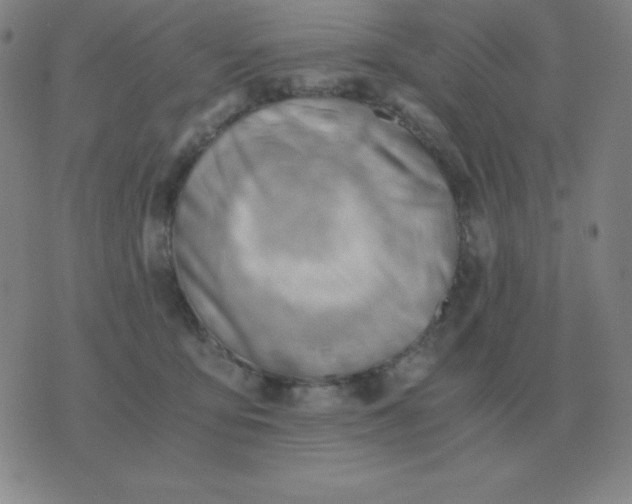 X0000076230419200610122120