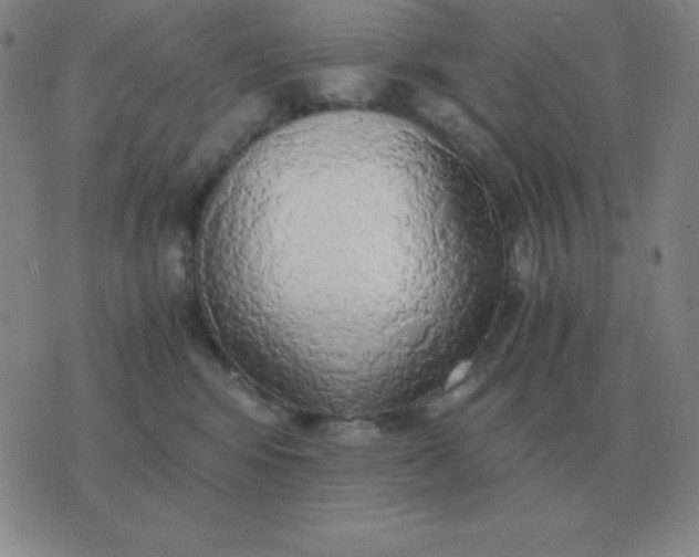 X0000076230424200610122119