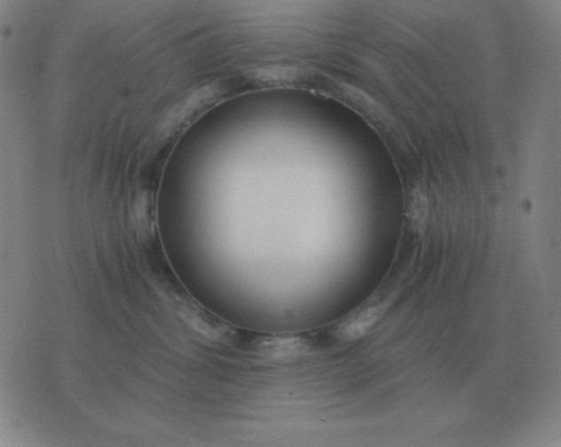 X0000076230428200610122119