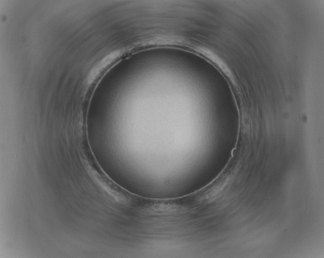 X0000076230437200610122119