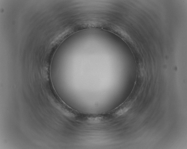 X0000076230450200610122119